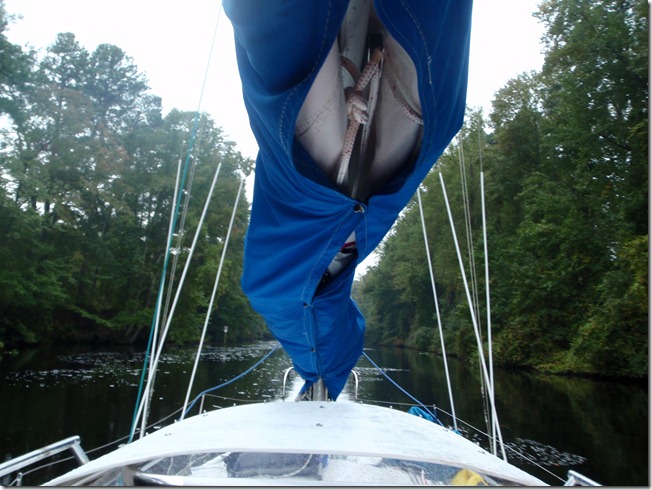 Dismal Swamp Canal Albin Vega Sailboat Velocir