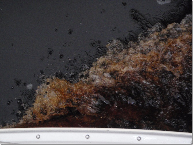 Dismal Swamp Canal Albin Vega Sailboat Velocir