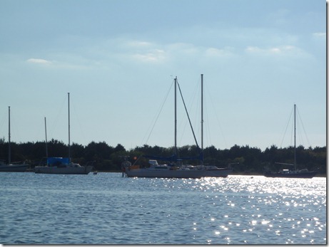 Velocir anchored in Beaufort