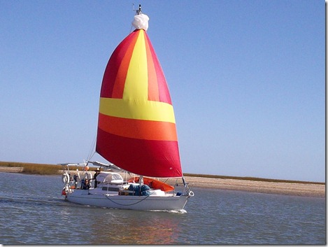 Velocir Sailing in Charleston