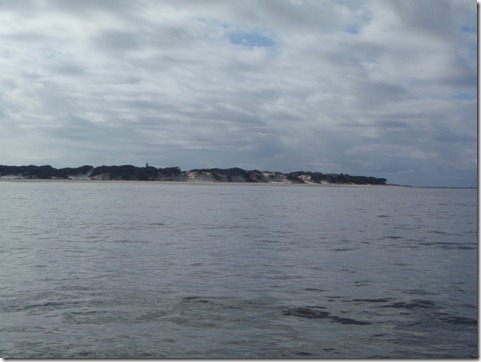 Cumberland Island by Velocir