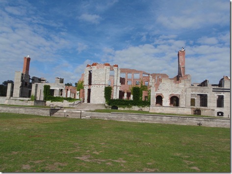 Cumberland Island by Velocir