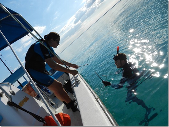 Spearfishing in the Bahamas by Velocir
