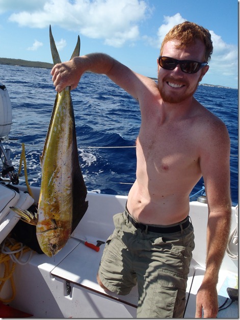 Catching Mahi Mahi by Velocir