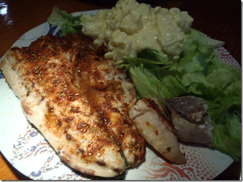 Catching Mahi Mahi by Velocir