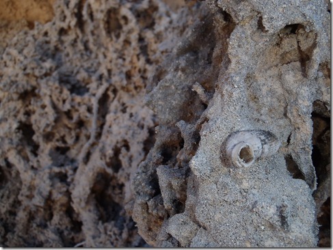 Hiking Stocking Island by Velocir