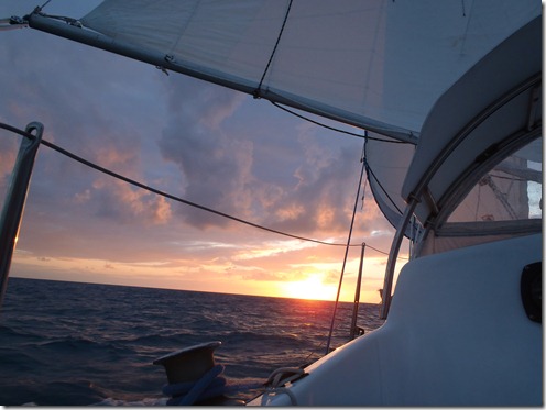 Sailing Albin Vega Velocir