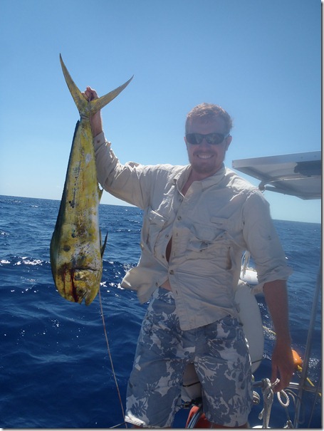 Mahi Mahi by Velocir