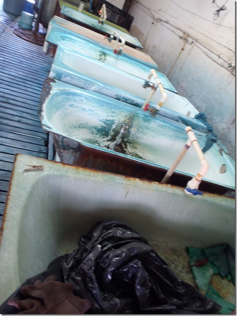 Androsia Factory by Velocir