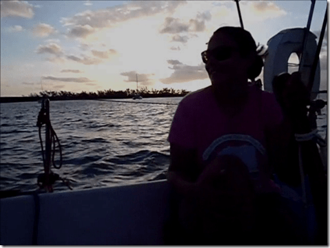 Sailing Albin Vega Velocir