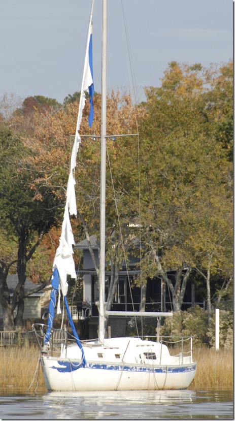 Velocir's Albin Vega Sail Design