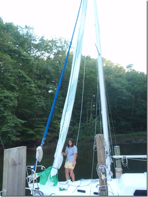 Velocir's Albin Vega Sail Design